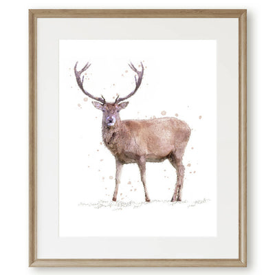 'Rupert' Watercolour Red Deer stag Print