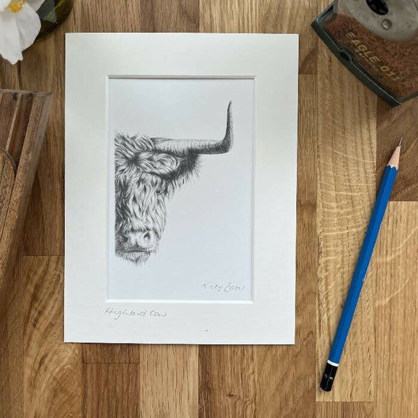 Highland cow mounted art print size 6"x8"