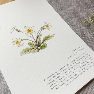 A5 Botanical Wildflower Spring Prints