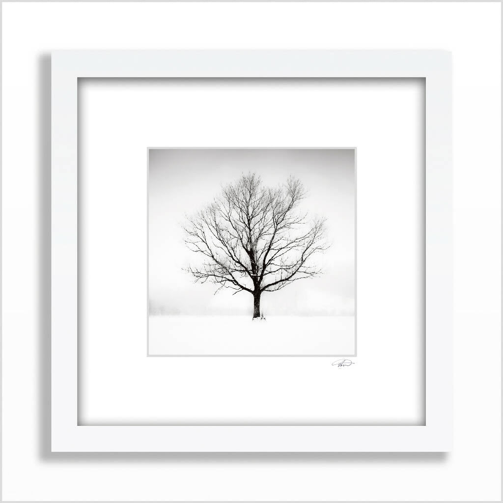 'Solitude in White' - Large Print in Black and White