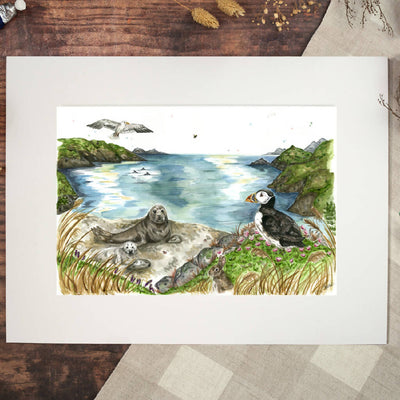 Seals and Puffins Seaside 'Pembroke Days' Limited Edition Print