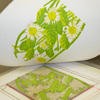 Daisies - Limited Edition - Original Linocut Print