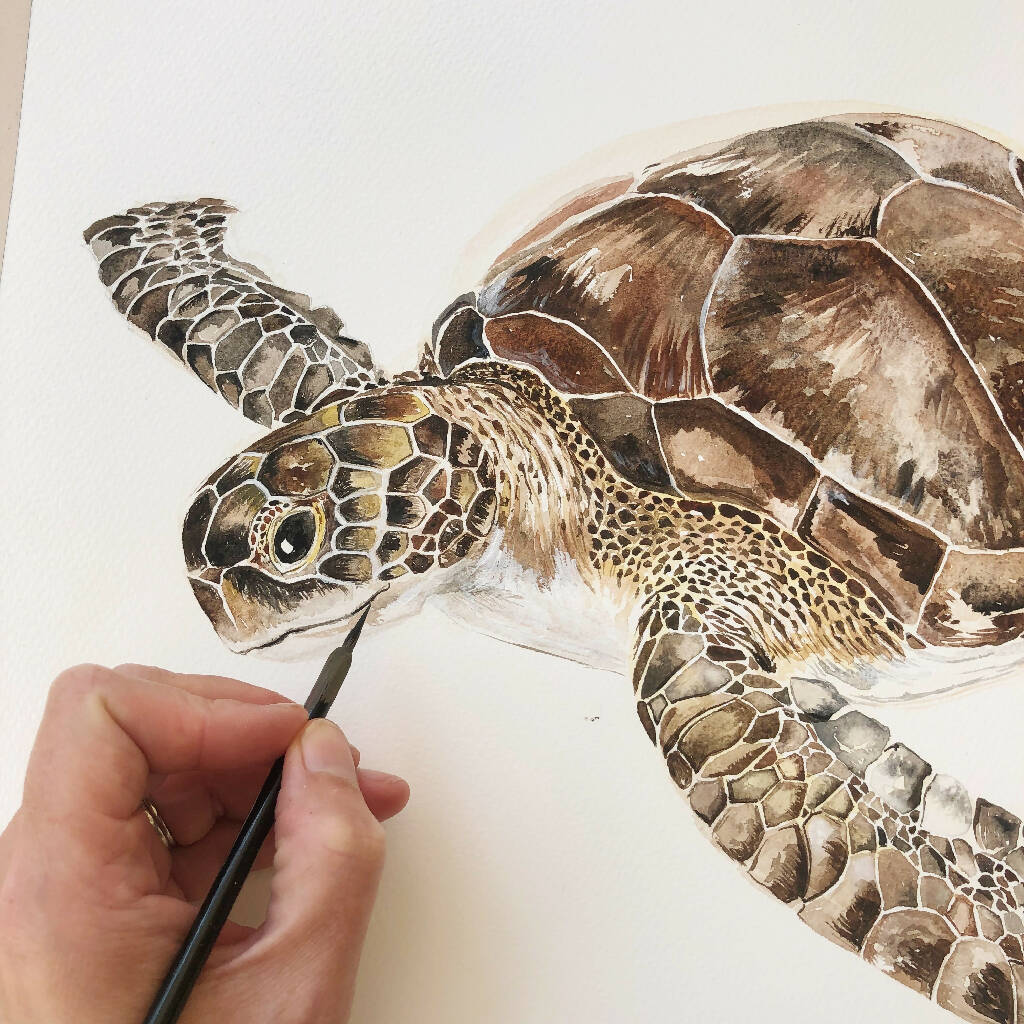 Watercolour Turtle Print