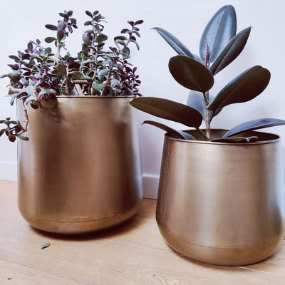 Large Brass Plant Pots