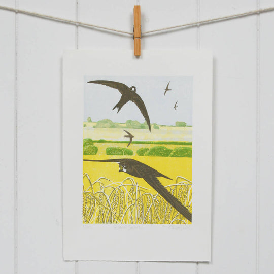 Rural Swifts - Limited Edition - Original Linocut Print