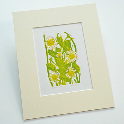 Daisies - Limited Edition - Original Linocut Print