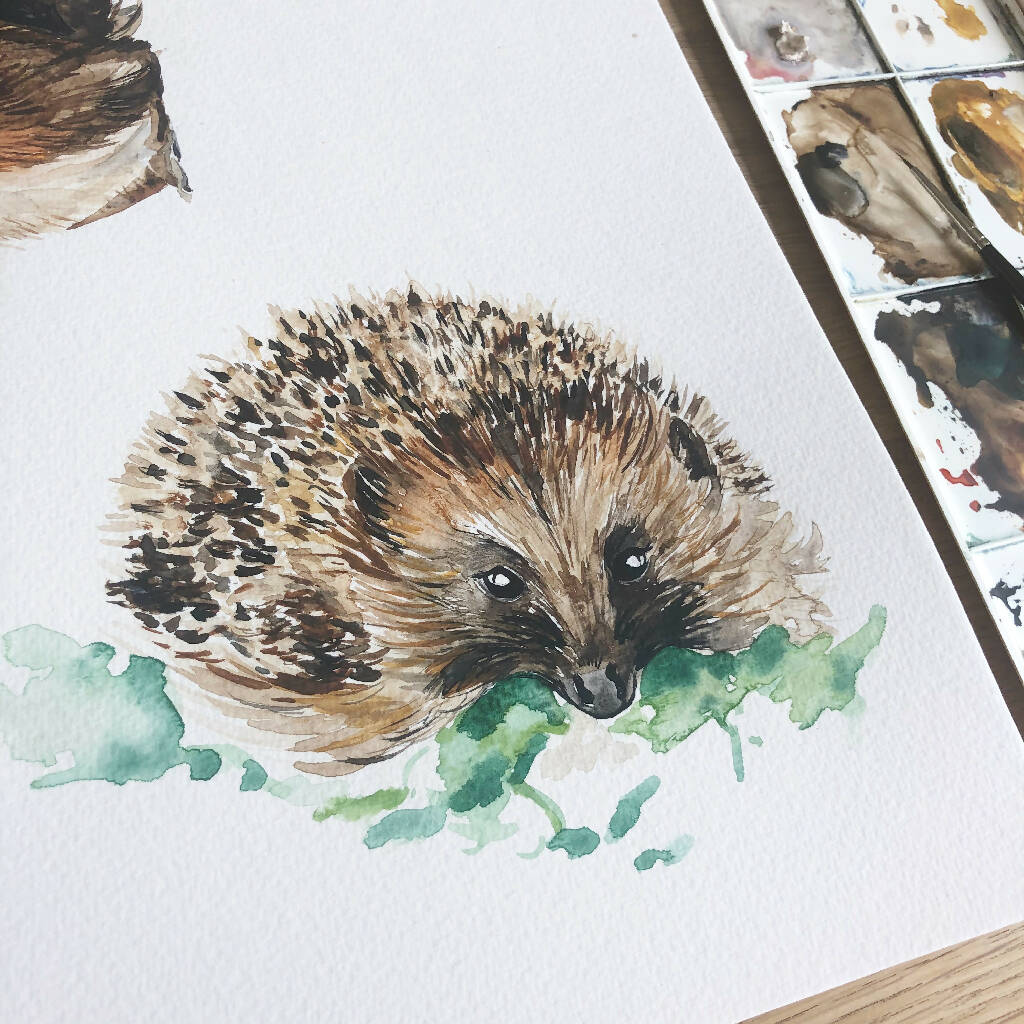 Hedgehog Watercolour Art Print