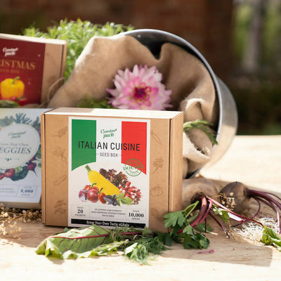 Italian Cuisine Seed Box