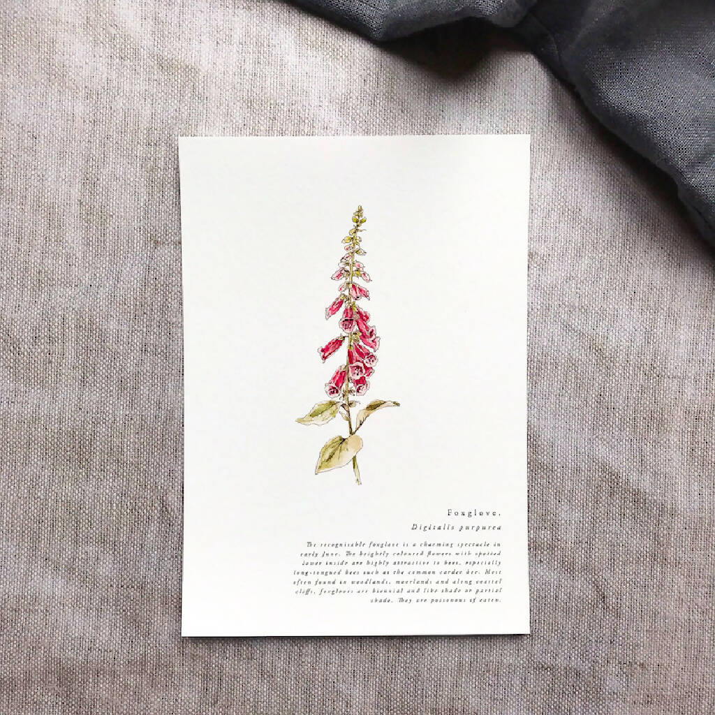 A5 Botanical Wildflower Summer Prints