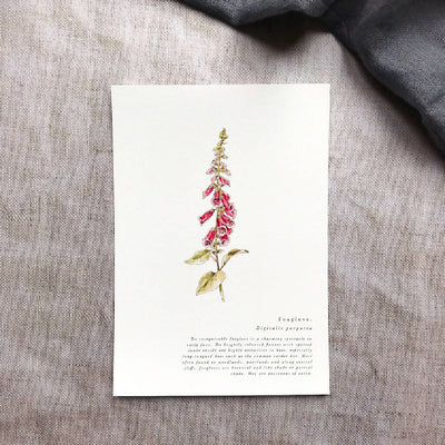 A5 Botanical Wildflower Summer Prints