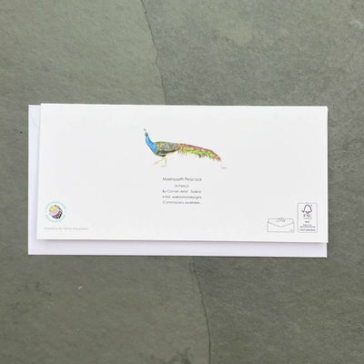 Maenporth Peacock Cornish Greeting Card