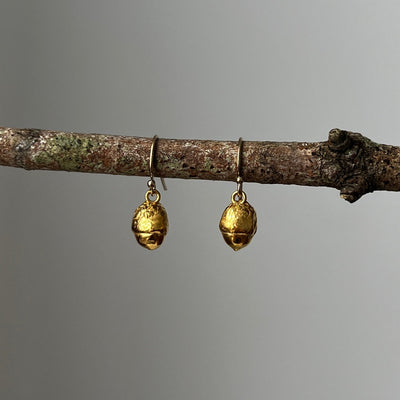 Gold Baby Acorn Earrings