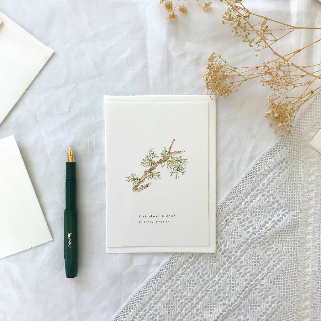 Oak Moss Lichen Botanical Watercolour Illustrated Greetings Card