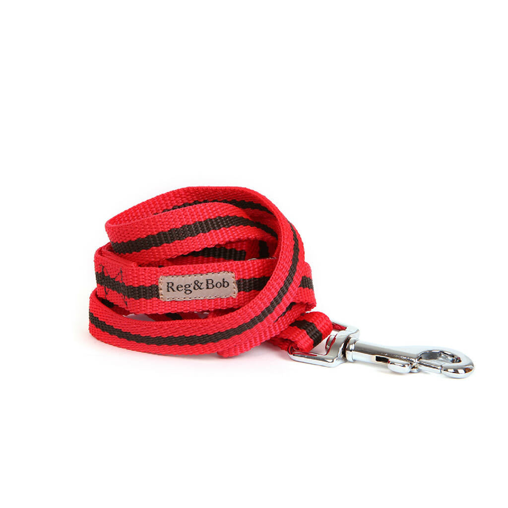 Dog Lead In Red And Brown Stripe - 2 sizes available