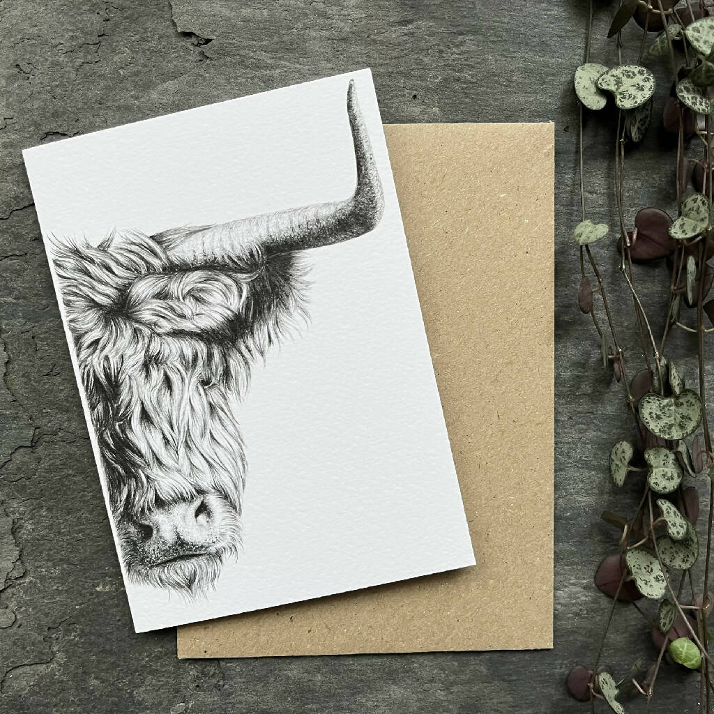 Highland Cow Blank Greetings Card