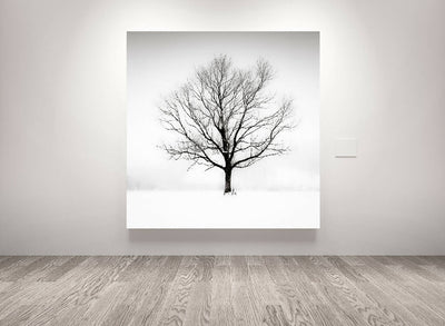 'Solitude in White' - Large Print in Black and White