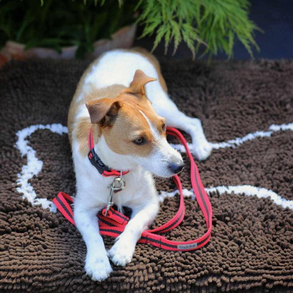 Dog Collar & Lead Set In Red And Brown Stripe