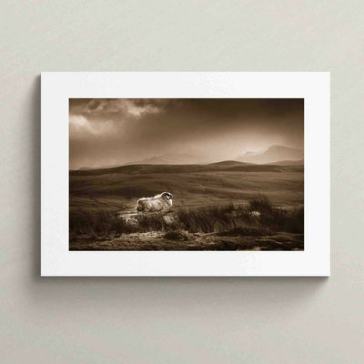 'Life on the Quiraing' - Large Photography Print Sepia