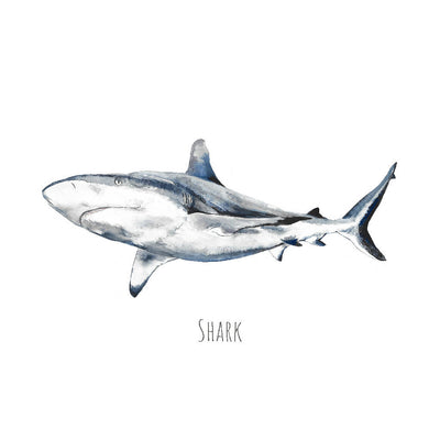 Watercolour Shark Print