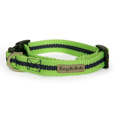 Dog Collar In Lime And Navy Stripe