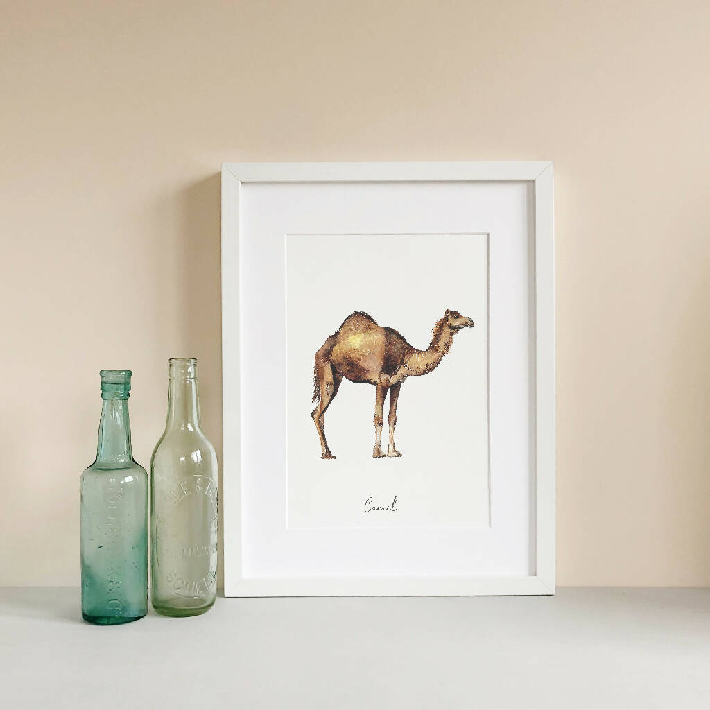 Camel Watercolour Art Print