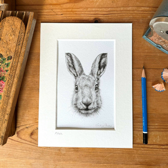 Hare art print size 6" x 8"