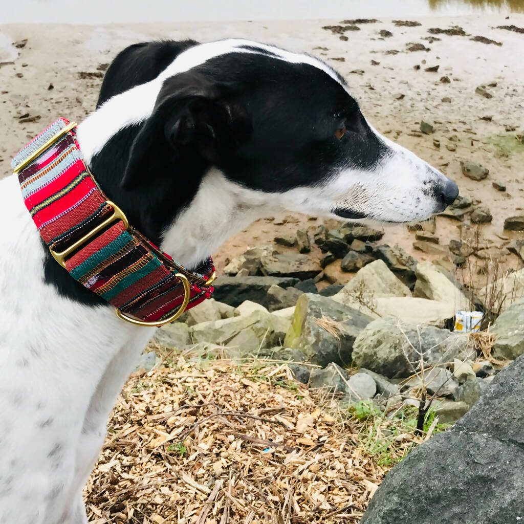 Bedouin Martingale Collar in Atlas Red