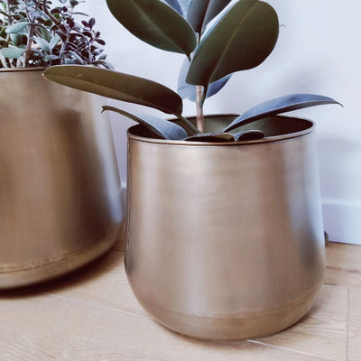 Large Brass Plant Pots