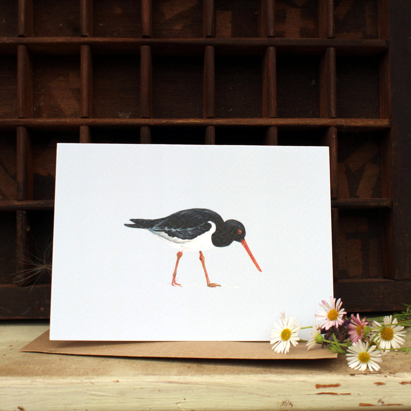 British Design Card in Oystercatcher