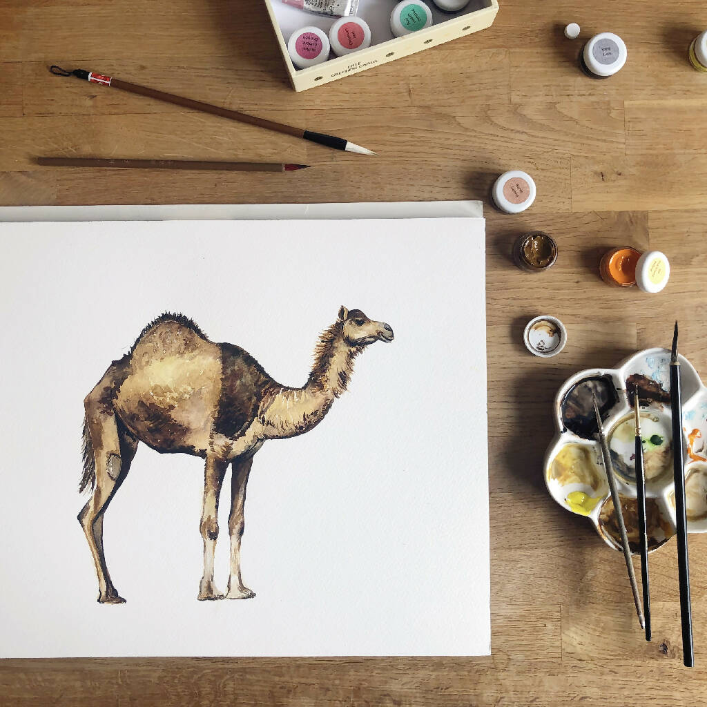 Camel Watercolour Art Print