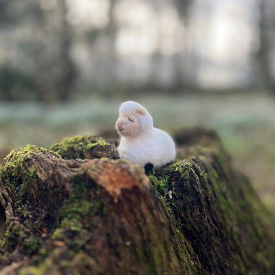 Sheep Family Needle Felting Craft Kit