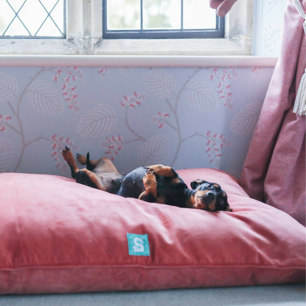 Corduroy Dog Bed - Rose