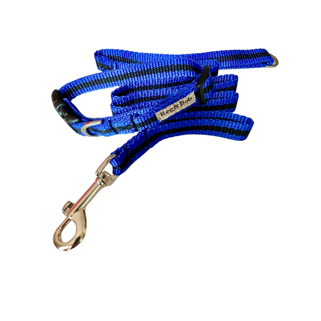 Dog Collar & Lead Set In Blue And Black Stripe