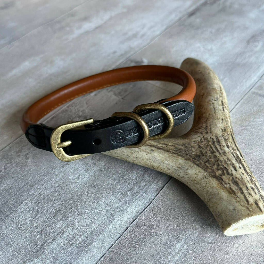 Rolled Leather Dog Collar Black with Tan