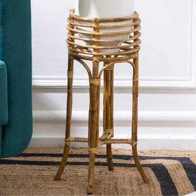 Lightweight Cane Plant Stand