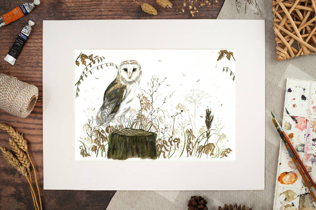 The Barn Owl Limited Edition Print