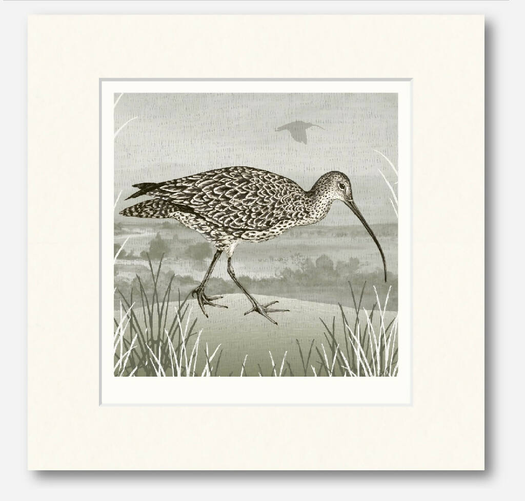 Spring Curlew Giclee Art Print