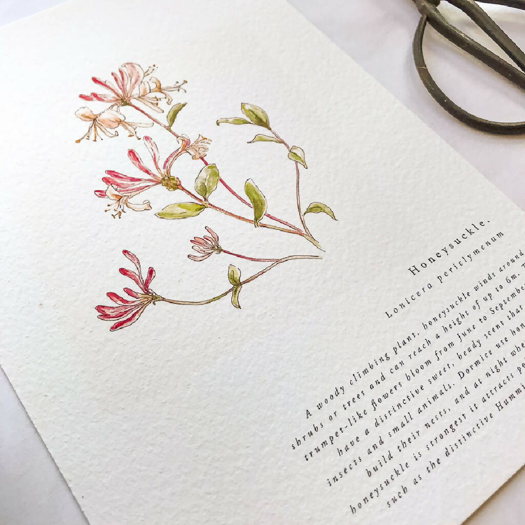 A5 Botanical Wildflower Summer Prints