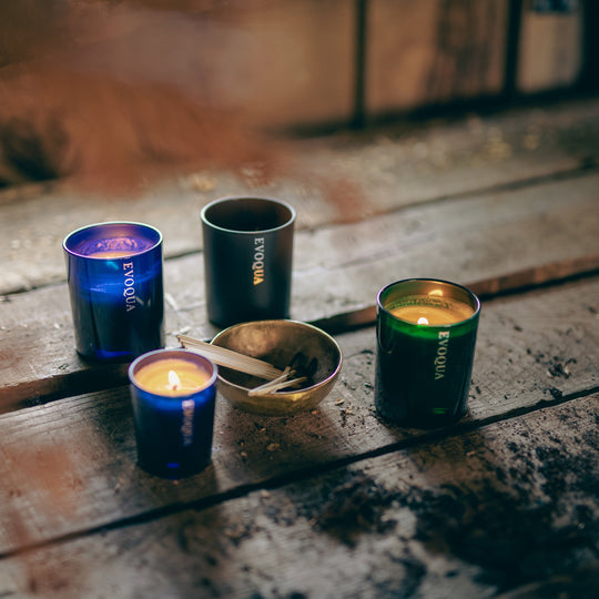 NEW - Enchanted Vine Candle