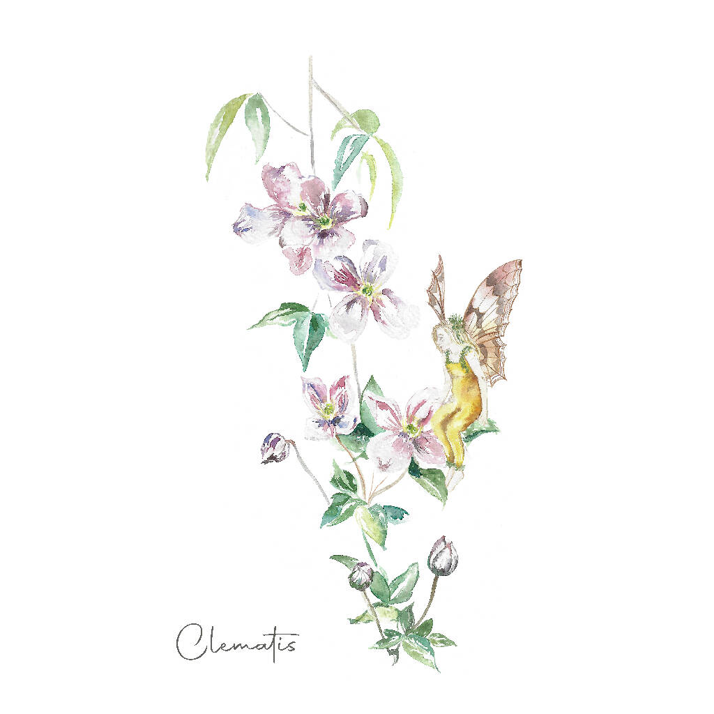 Watercolour Clematis Fairy Art Print