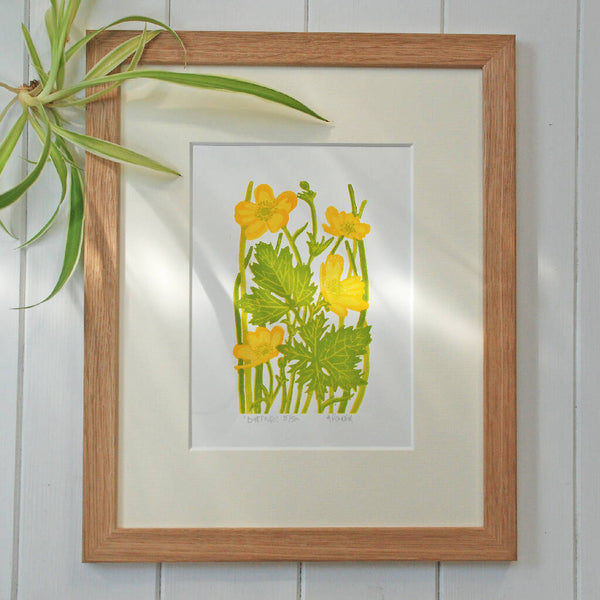 Buttercups Frame Master