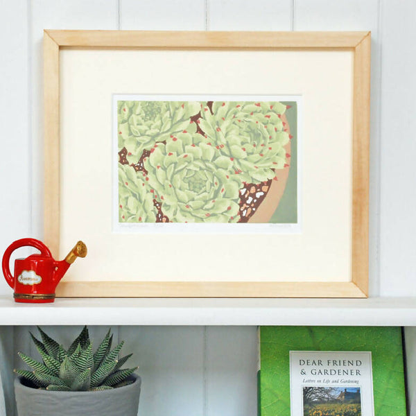 Sempervivum - Limited Edition - Original Linocut Print