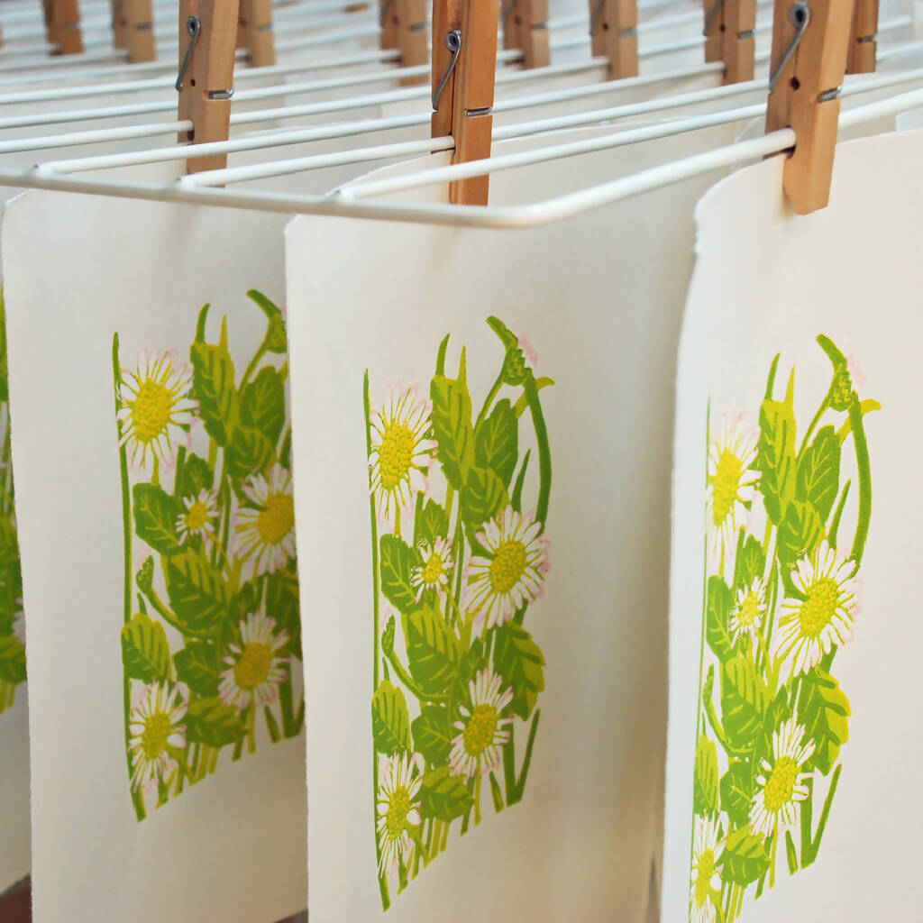 Daisies - Limited Edition - Original Linocut Print