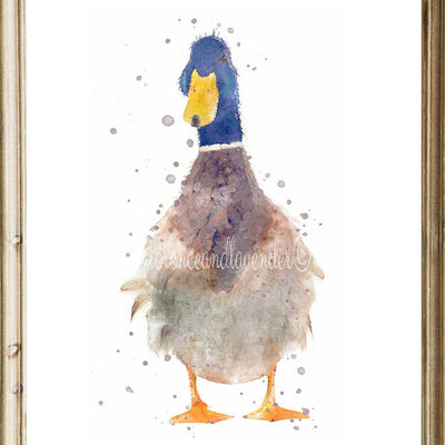 Trio Of Watercolour Duck Prints