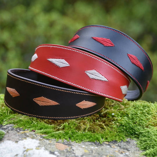 Whinlatter Hound Collar