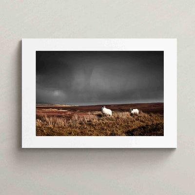 'Rainy Day on The Isle of Skye' - Fine art print in Sepia