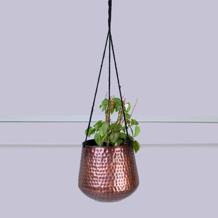 copper hanging planter uk Copper Hanging Planters
