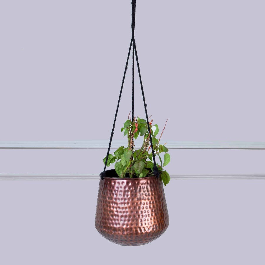 Copper Hanging Planters
