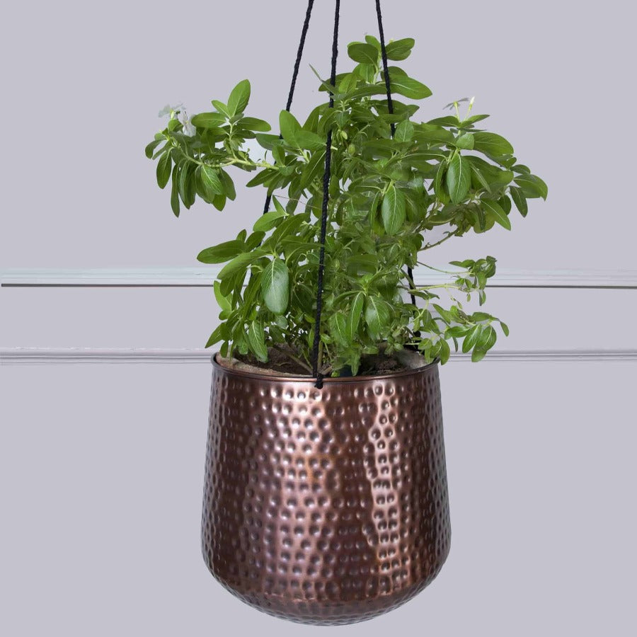 Copper Hanging Planters