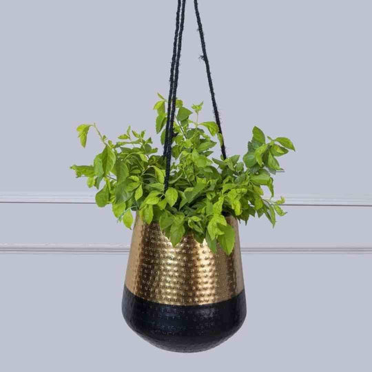 Black & Gold Hanging Planter